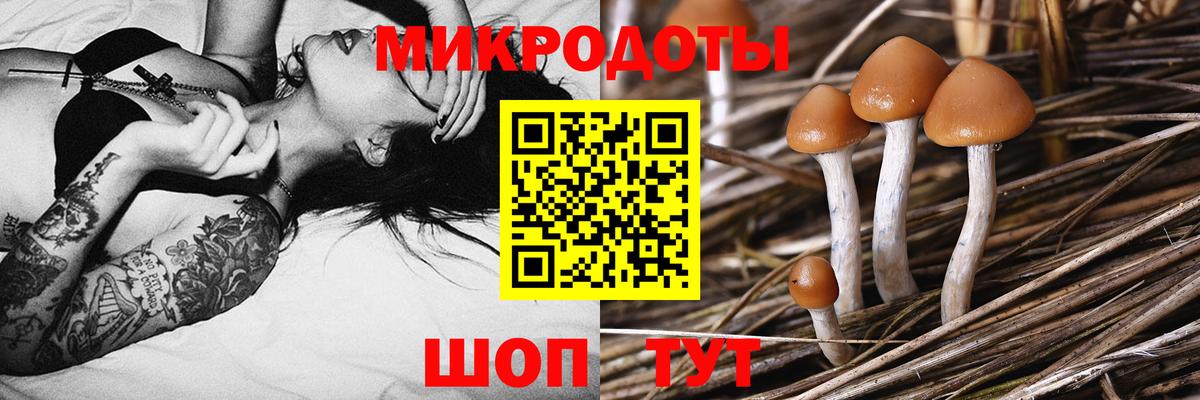 Псилоцибиновые грибы Psilocybine cubensis  Вход с VPN  купить закладку  Псилоцибиновые грибы MAGIC MUSHROOMS  Лыткарино 