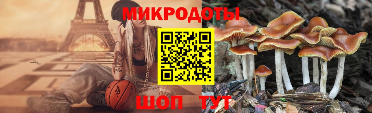 Галлюциногенные грибы MAGIC MUSHROOMS Лыткарино